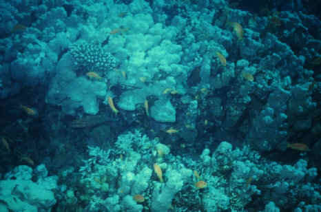 wpe6.jpg (21268 Byte)